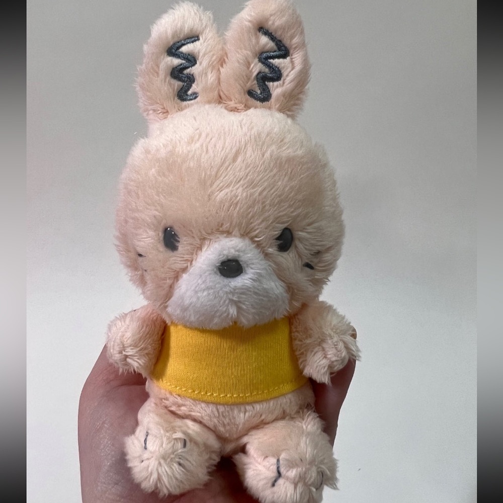Rare Sanrio Pochacco x Bunny “ Spring Breeze Series “ Plush • Cute • New